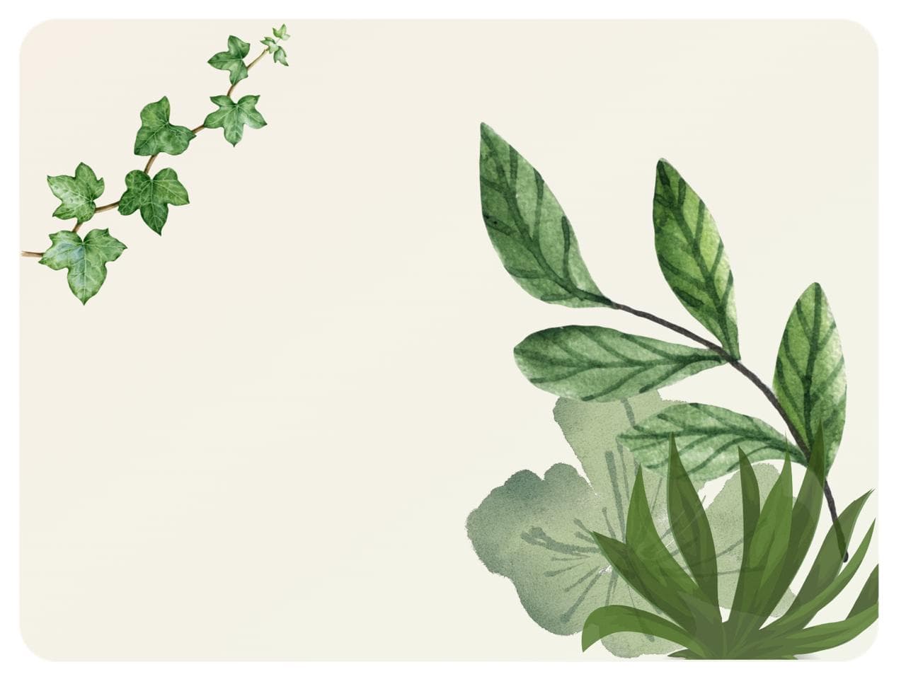 Influencer strategie & partnerships