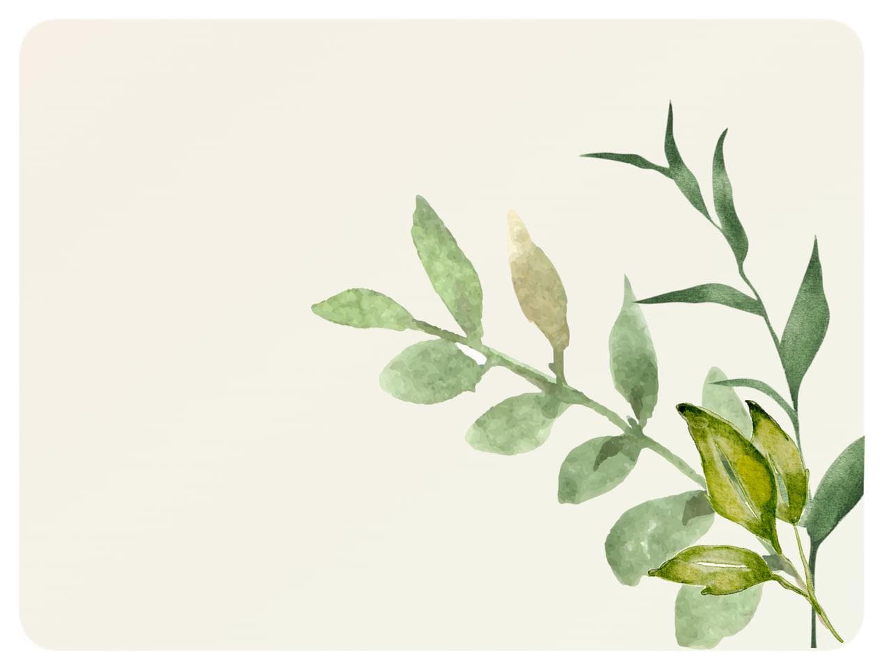 Reporting & Insights